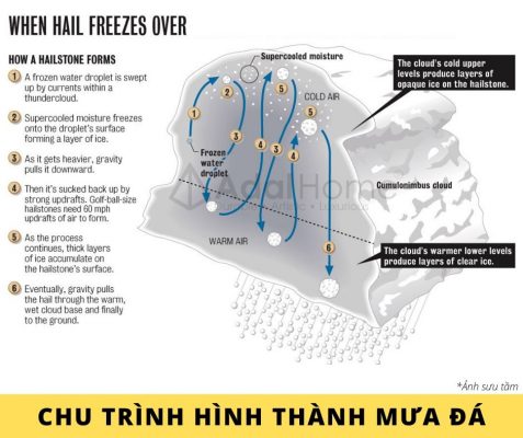 Hình – Sự hình thành mưa đá