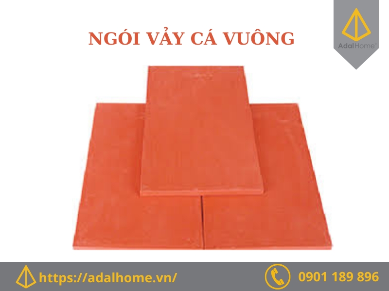 Ngói vảy cá vuông