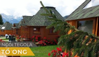 Ngói Tegola Tổ Ong qua hình ảnh công trình thực tế